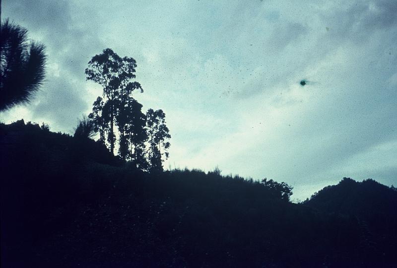 000027.JPG