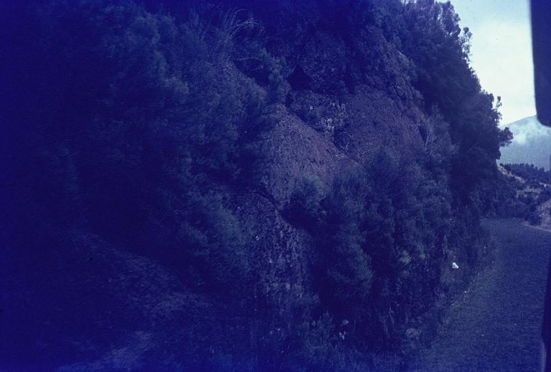000082.JPG